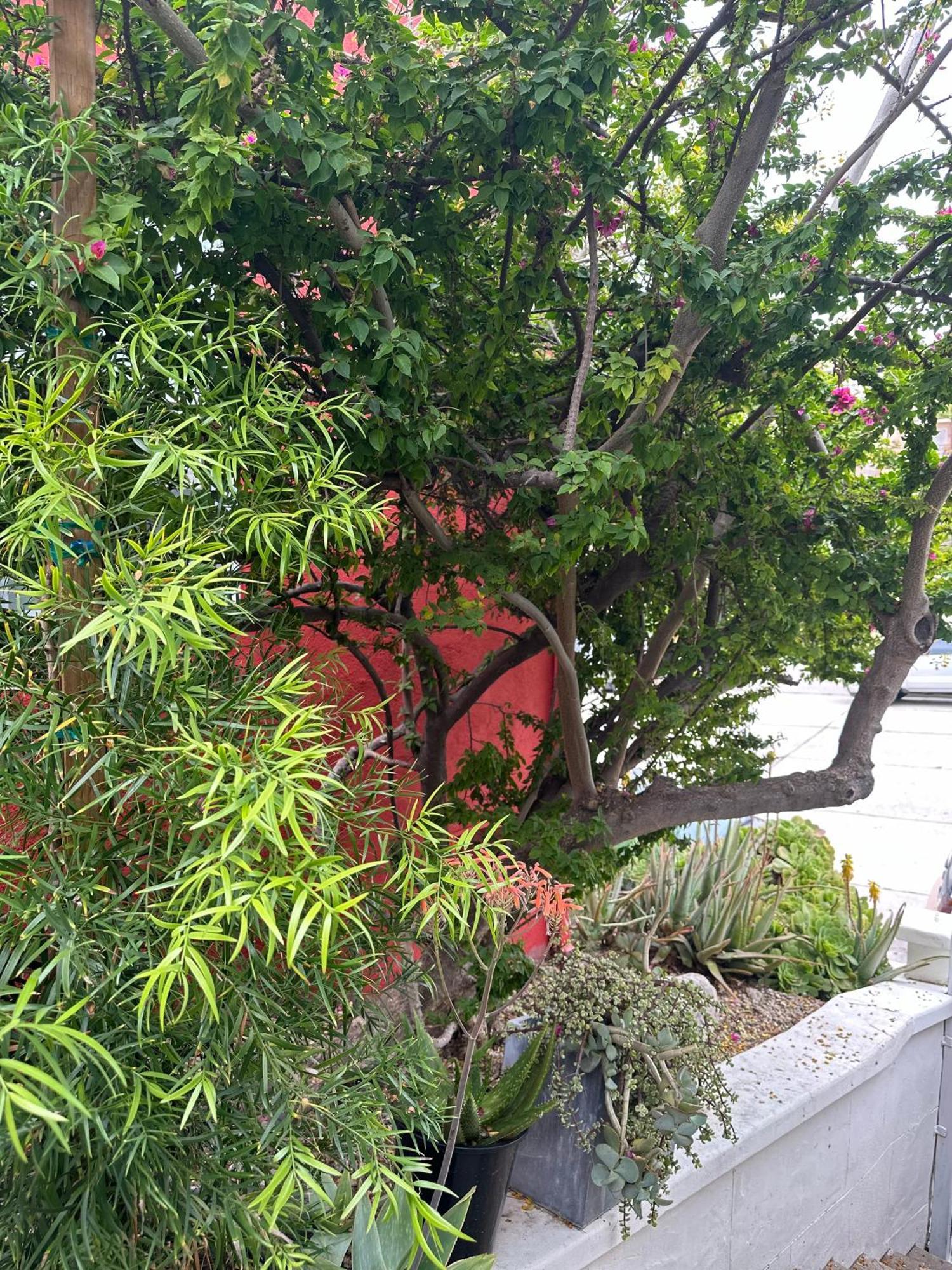 Modern, Remodeled Echo Park House-Walk To Sunset Blvd, Dodgers Stadium, Shops, Bars, Restaurants, Lake, Concerts Los Angeles Kültér fotó